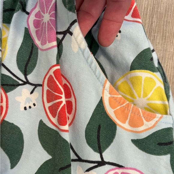 Hanna Andersson Multicolor Fruit Print Dress - Picture 3 of 5